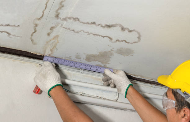 Reliable Water Damage Repair contractor in Monmouth, OR by Local Water Damage Repair